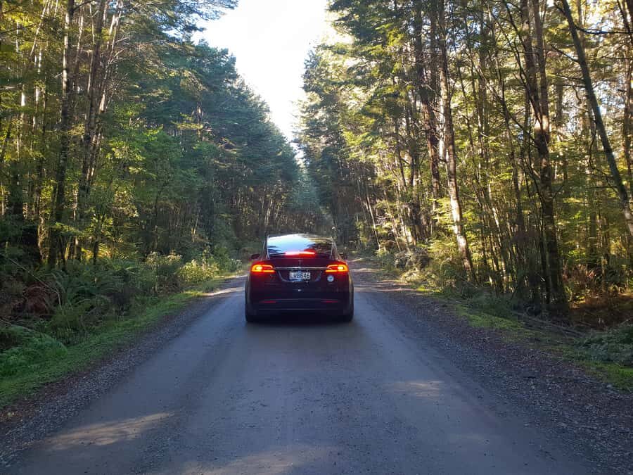 Guided Private Milford Sound Day Tour from Te Anau(Cruise In - Road stops and viewpoint time: how to use them well