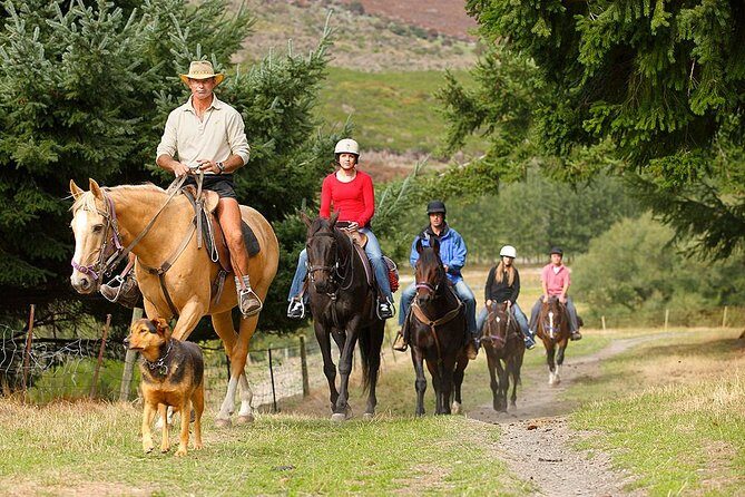 Half Day Walter Peak Horse Trek and Cruise from Queenstown - Price and value: $142.11 worth it depends on what you want most