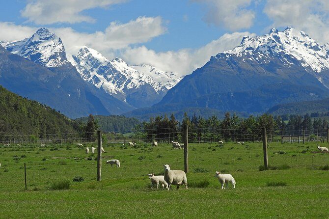 High Country Discovery Tour from Queenstown - Paradise Valley by 4WD: why this tour feels more personal