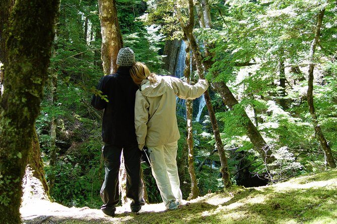 Jet Boat and Wilderness Walk Tour from Wanaka - Who This Tour Fits Best (and Who Should Be Cautious)