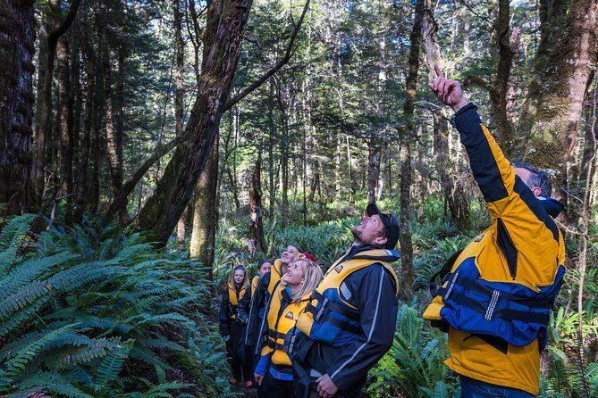 Jet Boat Journey through Fiordland National Park - Pure Wilderness - Re-imagining Lord of the Rings en route: more than a photo break