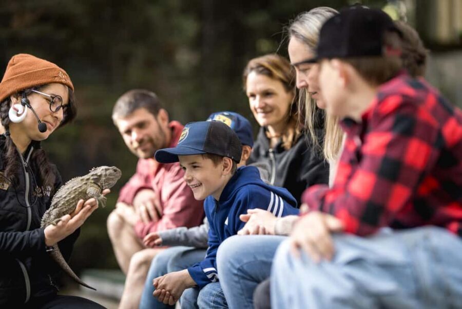 Kiwi Park Admission Ticket - Practical tips that make the experience better