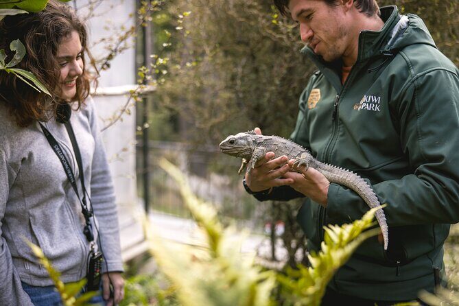 Kiwi Park Queenstown Admission - Conservation Show: Free-Flying Birds in a Netting Enclosure