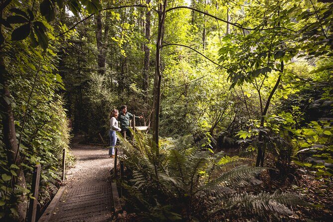 Kiwi Park Queenstown Admission - Location and Timing: Getting There Without Stress