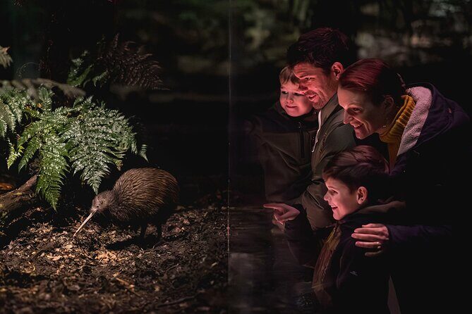Kiwi Park Queenstown Admission - Admission Value at $39.72: What You’re Really Buying