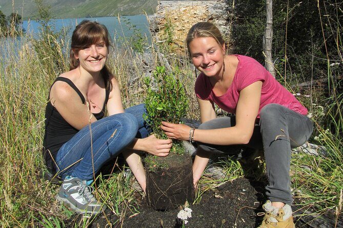 Lake Cruise & Mou Waho Island Nature Walk - Key Things That Make This Tour Worth Your Time
