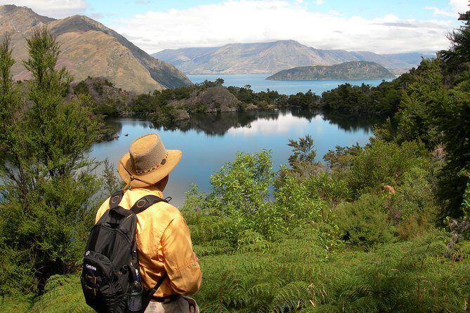 Lake Cruise & Mou Waho Island Nature Walk - Cruising Lake Wanaka: What You’ll See and How to Dress