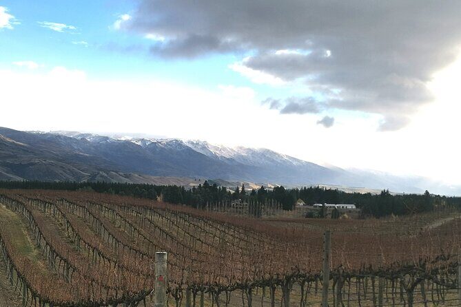 Lake Dunstan Cycleway with E-Bike hire and Shuttle service - Central Otago scenery: the views keep your effort feeling worth it