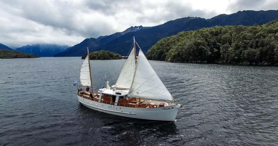 Lake Te Anau: 3-Hour Boat Cruise with Guided Walk - Quick Tips to Make Your Day Smoother