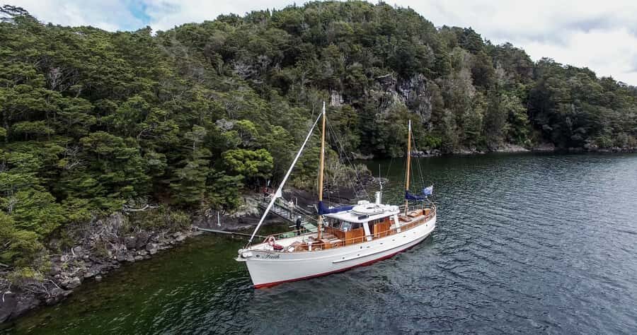 Lake Te Anau: 3-Hour Boat Cruise with Guided Walk - Who Should Book This Cruise-Walk Combo