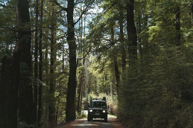 Lord of Rings Tour around Queenstown Lakes by 4WD (full day) - Arrow River crossing and gold panning: the hands-on moment people remember