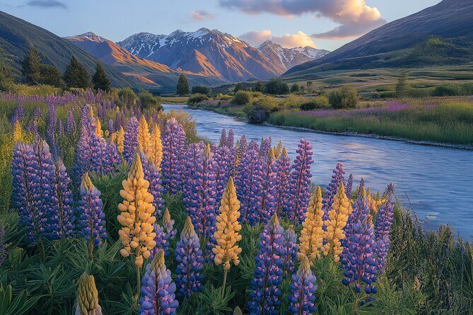 Lord of the Rings Scenic Half Day Tour from Queenstown - Price and value: is $123.41 a fair deal for this much access?