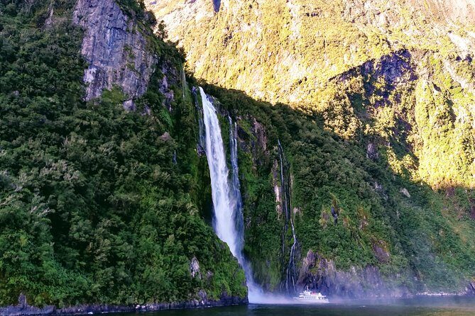 Luxury Milford Sound Coach and Scenic Cruise - Key highlights you’ll actually care about