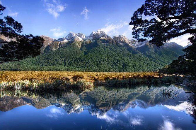Luxury Milford Sound Coach and Scenic Cruise - From Queenstown at 7am: the best kind of early