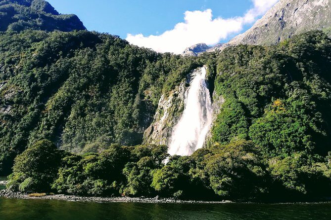 Luxury Milford Sound Coach and Scenic Cruise - Making the most of the stops (and saving your energy)