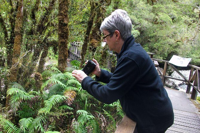 Luxury Milford Sound Coach and Scenic Cruise - If weather shuts the plan down, what happens?
