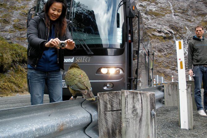 Luxury Milford Sound Coach and Scenic Cruise - Fiordland National Park time in Te Wahipounamu
