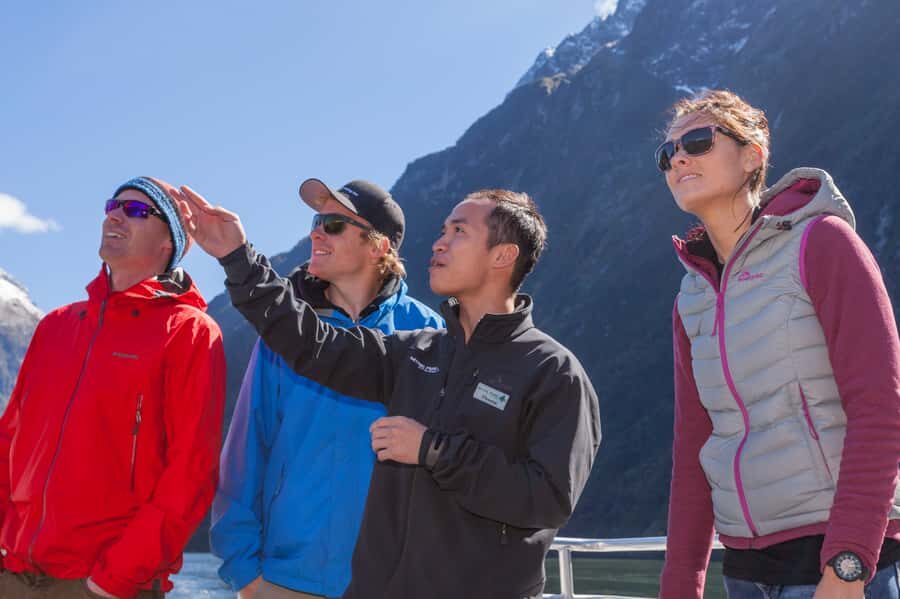 Milford Sound: 2-Hour Small Boat Scenic Cruise - Should You Book This Milford Sound Small-Boat Cruise?
