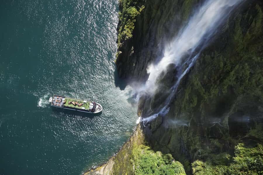 Milford Sound: 2-Hour Wildlife & Nature Cruise - Price and value: does $85 make sense for Milford Sound?
