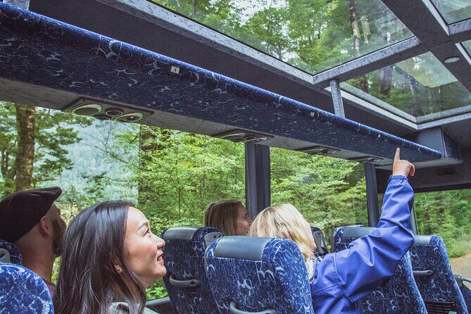 Milford Sound Coach and Cruise tour from Queenstown - Key highlights you should actually care about