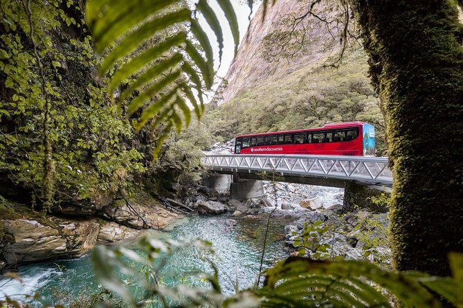 Milford Sound Coach & Cruise ex Te Anau Stunning Views with Lunch - From Te Anau to Milford Sound: the route is half the magic