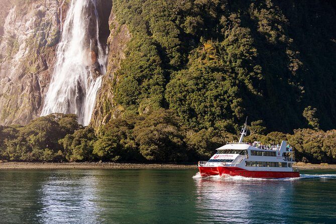 Milford Sound Coach & Cruise from Queenstown: Panoramic Views - Monkey Creek and the Little Moments You’ll Remember