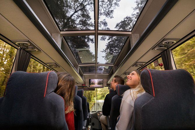 Milford Sound Coach & Cruise from Queenstown: Panoramic Views - Food, Comfort, and Small Planning Notes