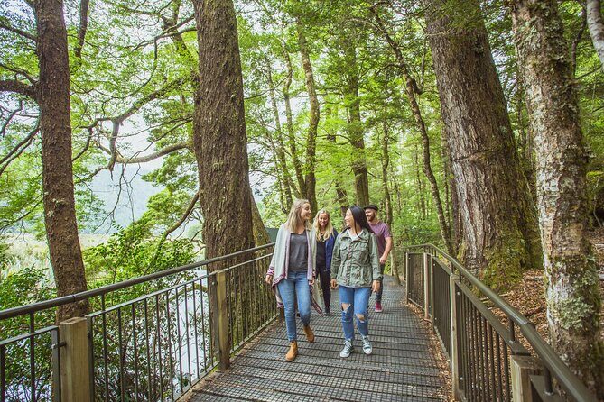 Milford Sound Coach & Cruise Tour from Te Anau - The full-day timetable, Kiwi Country to Stirling Falls