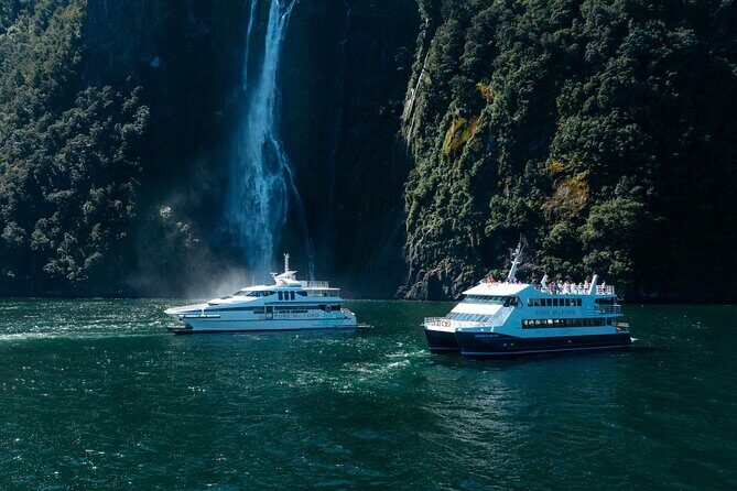 Milford Sound Cruise - Key Highlights You’ll Notice Fast