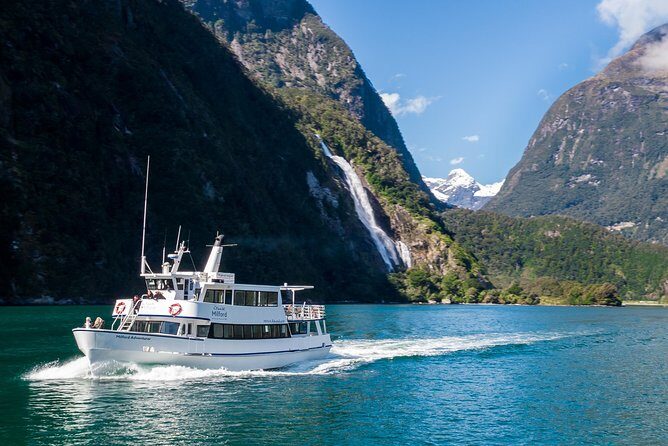 Milford Sound Cruise - Wildlife Odds: Fur Seals, Dolphins, and That Extra Bit of Luck