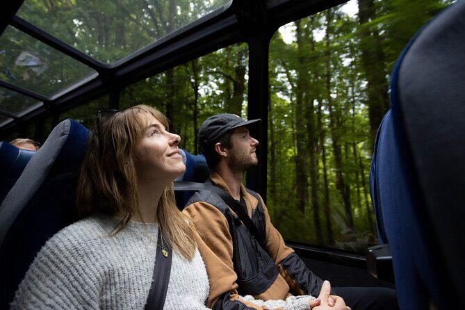 Milford Sound Cruise from Queenstown or Te Anau - Food, Coffee, and What to Pack for a Long, Full Day