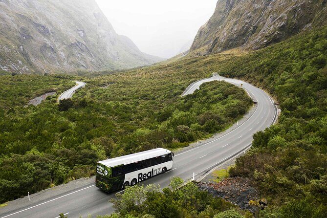 Milford Sound Cruise from Queenstown or Te Anau - Price and Value: Is $145.83 a Good Deal for Milford Sound?