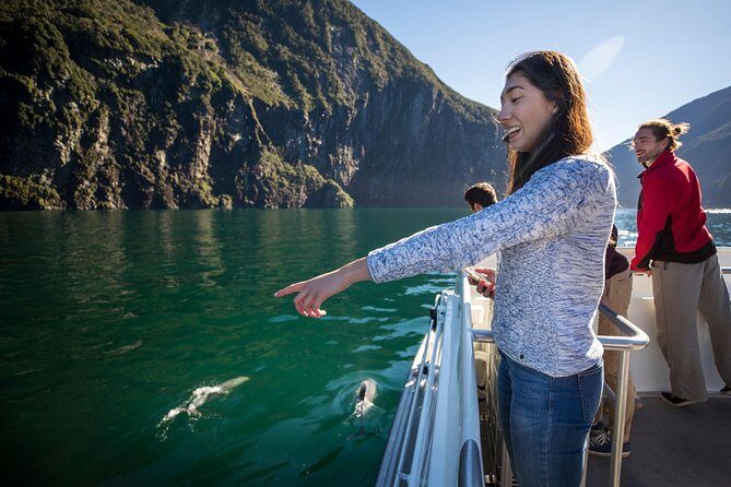Milford Sound Cruise: Stunning Views & Optional Picnic or Buffet - The Milford Sound route: southern side waterfalls, Sinbad Gully, then back up north