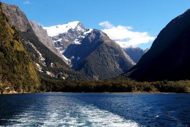 Milford Sound Day Tour from Queenstown - The Milford Sound cruise: glass roof viewing, Mitre Peak, and wildlife chances