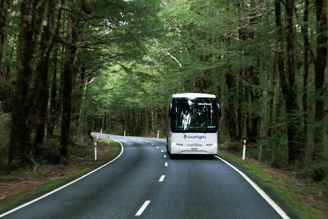 Milford Sound Day Tour from Te Anau - The long scenic drive: Eglington Valley, Christie Falls, and the Homer Tunnel moment