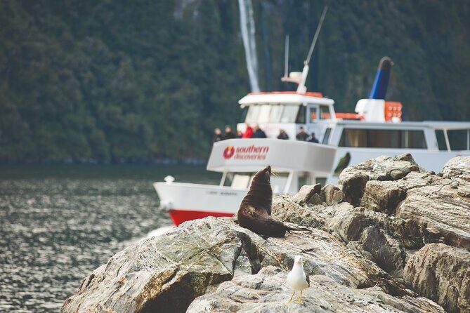 Milford Sound Extended Cruise with Southern Discoveries - Key Points That Make This Cruise Worth the Time