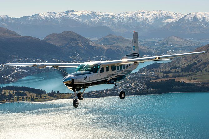 Milford Sound Flight and Cruise ex Queenstown - Wildlife You Can Actually Plan For (Seals, Dolphins, and Penguin Season)