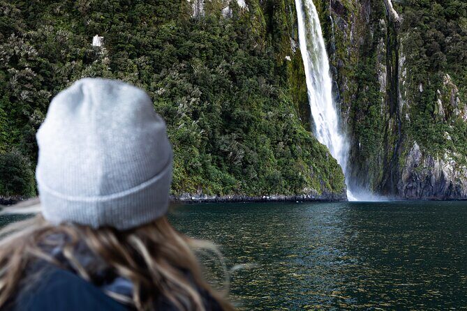 Milford Sound Flight and Cruise ex Queenstown (incl Lunch) - Milford Sound cruise: Bowen Falls, Sinbad Gully, and the wildlife odds