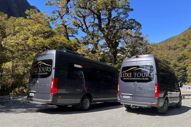 Milford Sound Full Day Tour from Te Anau with Cruise - Comfortable pickup and guided timing (the part that saves your day)