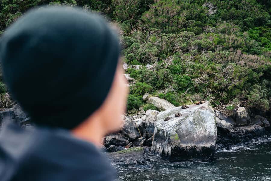 Milford Sound: Nature Cruise on a Modern Catamaran - Captain Cook’s Miss: The History Angle You’ll Actually Use