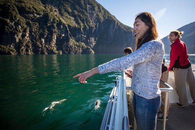 Milford Sound Nature Cruise with Southern Discoveries - Key highlights I’d plan around