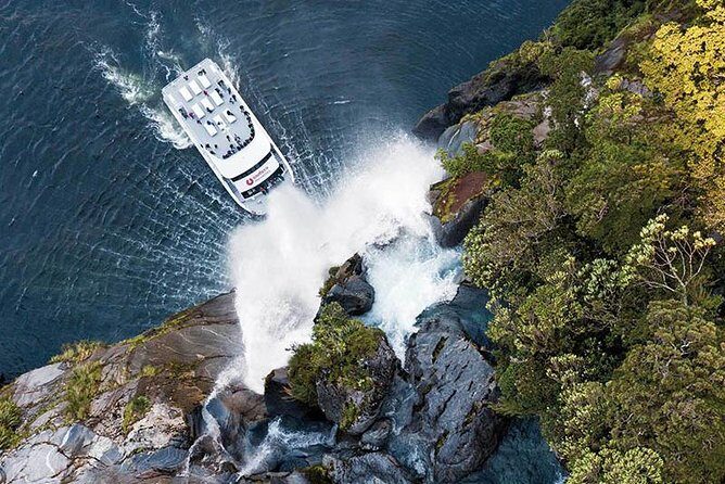 Milford Sound Premium Coach and Cruise with Lunch from Te Anau - Mirror Lakes and the Milford Road nature breaks (what to expect at each one)