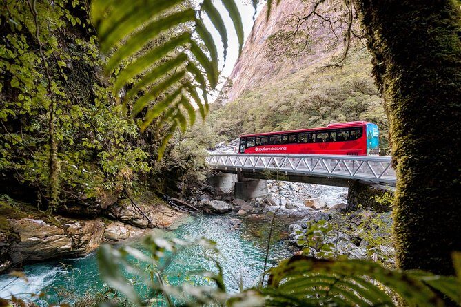 Milford Sound Premium Coach and Cruise with Lunch from Te Anau - Lake Gunn, the unlined tunnel, and Cleddau River—road features with real context