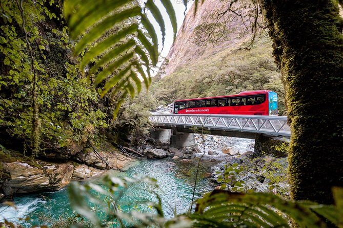 Milford Sound Premium Coach & Cruise from Queenstown with Lunch - Who should book this Milford Sound premium coach-cruise?