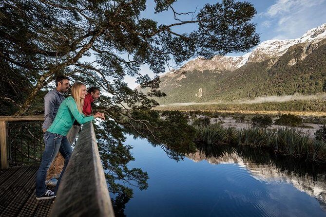 Milford Sound Premium Coach & Cruise from Queenstown with Lunch - The glass-roof premium coach: comfort and value in one upgrade