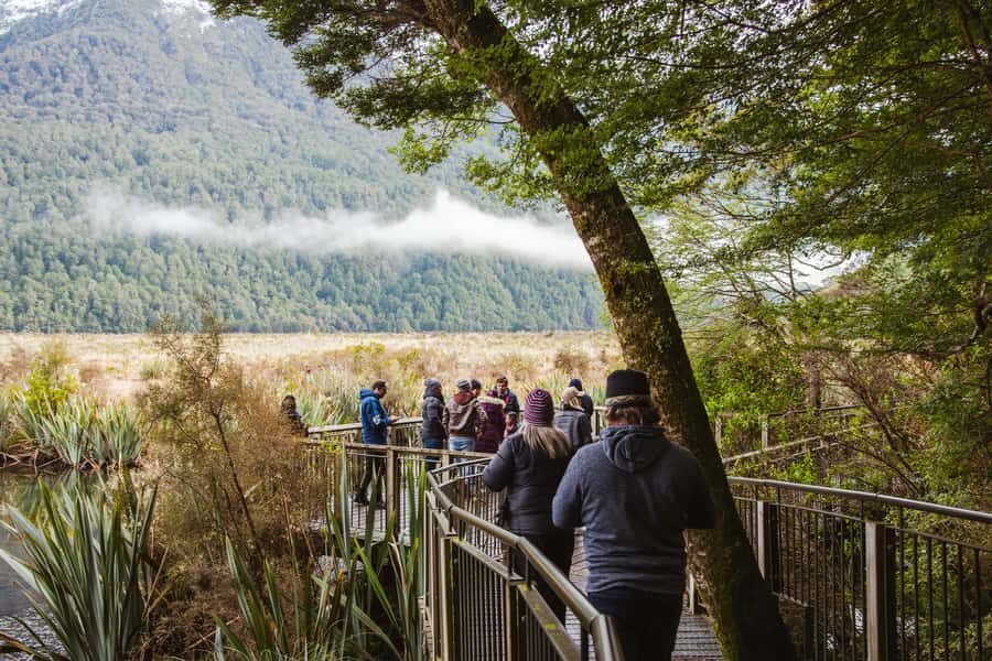 Milford Sound: Premium Small Group Tour from Queenstown - Price and logistics: why $226 can feel fair (or not)