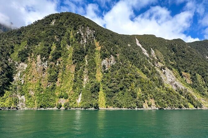 Milford Sound Private Day Trip from Queenstown via Te Anau - Homer Tunnel: the engineering moment that makes the road feel real