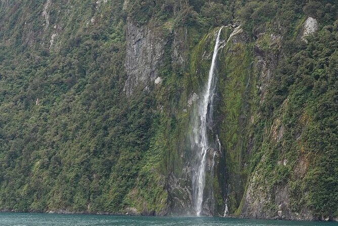 Milford Sound Private Day Trip from Queenstown via Te Anau - Price and value: what NZ$412.68 per person buys you