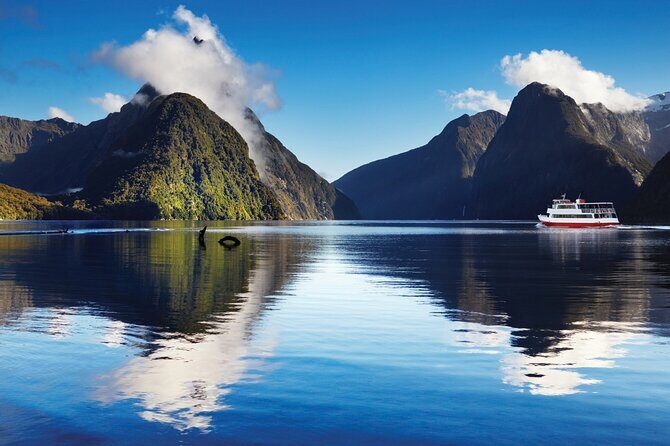 Milford Sound Small Group Tour, Cruise & Picnic Lunch - Picnic lunch: chicken or vegetarian, but quality can be uneven