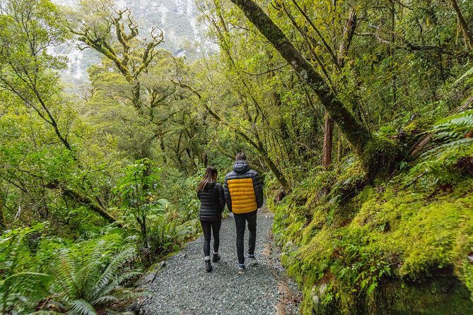 Milford Sound Small Group Tour from Queenstown with Scenic Flight - Homer Tunnel: A Little Passage With Big Payoff